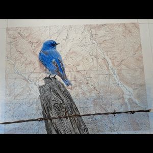 Meet your Posher, Izzy